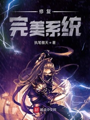 完美平台server system error