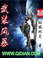 武装风暴精校版TXT下载
