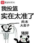 肉末大茄子的做法
